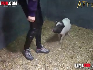 Animal Body Paint Sex