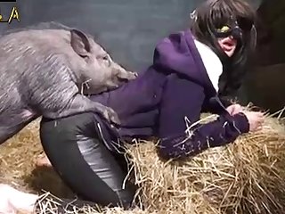 Octopuses May Have The Oldest Sex Chromosomes In The Animal Kingdom Sciencealert Summary