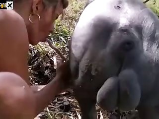 Animal Sex Fetish