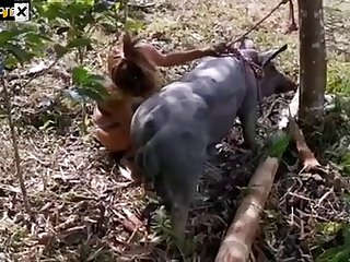 Tranny Animal Sex