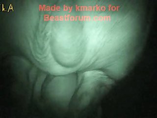 Best Animal Sex Porn