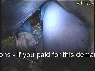 Person Having Sex With Animal