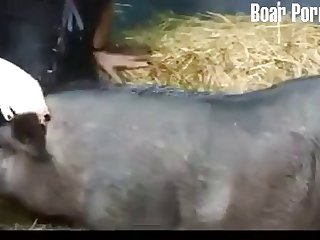 Having Sex With Stuffed Animal