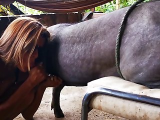 Animal With Highest Sex Drive