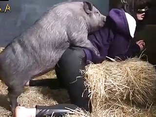Human Sex Animal