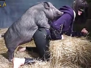 Human Sex Animal