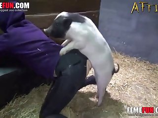 Teen Animal Sex Stories