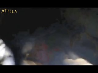 Animal Crossing Sex Anhka