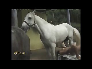 Animal Sex Tf