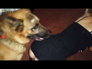 Man And Animal Have Sex