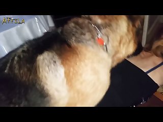 Man And Animal Have Sex