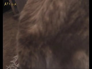 Animal Gay Porn Sex