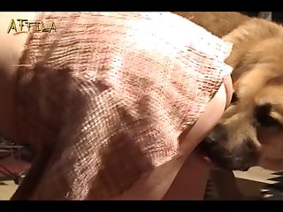 Animal Sex With Mom