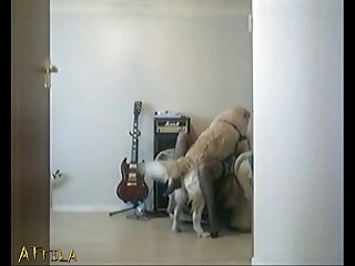 Baldur's Gate 3 Animal Sex