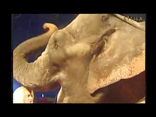 I Can't Sleep With This Sex Animal