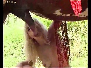 Animal Sex Youtube