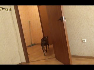 Xnxx Animal Girls Sex