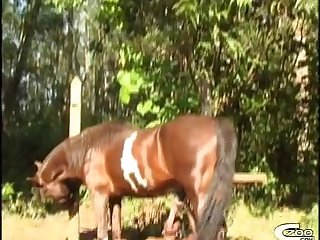 Girls Animal Sex