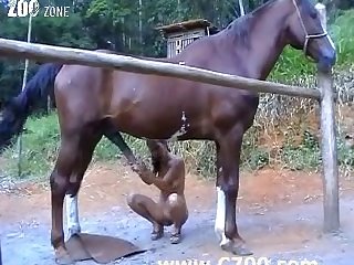 Animal Sex The Girl