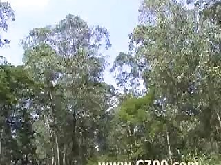 Sex Pic Animal