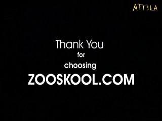 Sucking A Dog Dick Porn