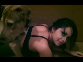 Same Sex Animal Relationships