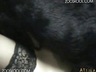 Dog Fucking Ebony Porn
