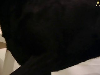 Porn Star Dog