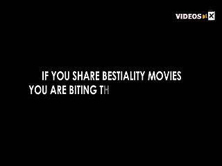 Horse Cums In Ass Porn