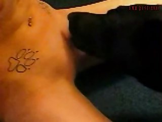 Dog Gay Zoo Porn