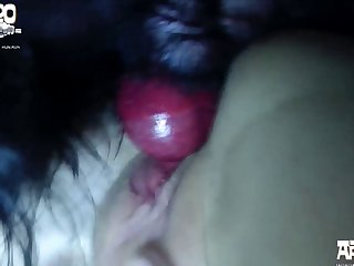 Old Zoo Porn