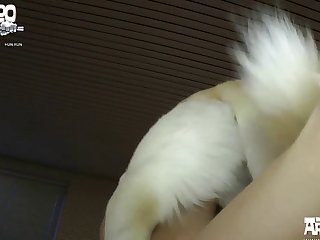 Female Dog Creampie Porn