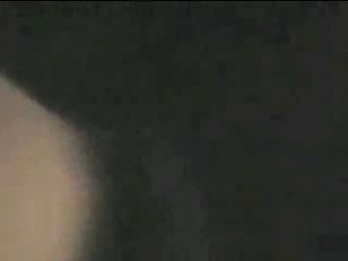 Porno Animal Cachorro Lambendo Buceta