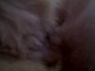 Porno Animal E Pessoas