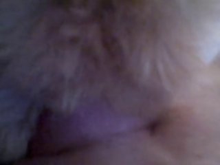 Animal Crackers Porno