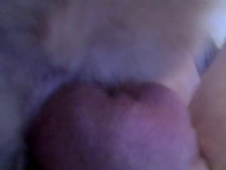 Animal Crackers Porno