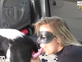 Porno Animal Chorando