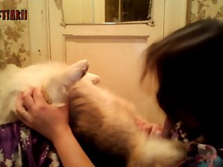 Filme Porno Violento Com Animal