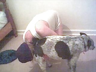 Porno Pounded Animal