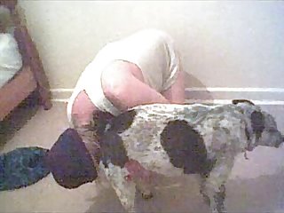 Porno Pounded Animal