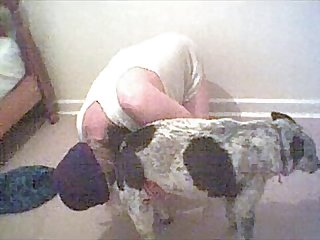 Porno Pounded Animal