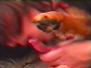 Sexo Porno Mulher Com Animal