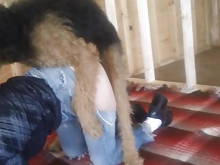 Caty Cambell Anal Xxx Porn