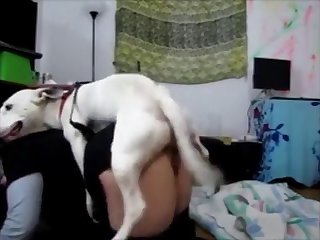 Touni Xxx Porn