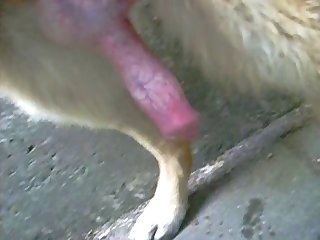 Top Mature Stars Porn Xxx