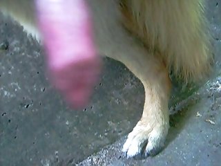 Top Mature Stars Porn Xxx