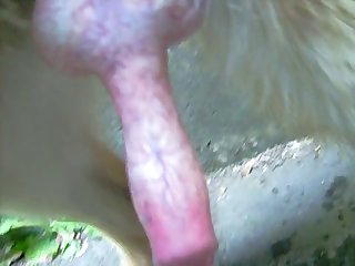 Top Mature Stars Porn Xxx