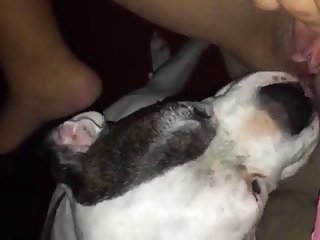 Chicas Masturbandose Hd Xxx Porn