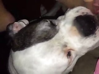 Chicas Masturbandose Hd Xxx Porn