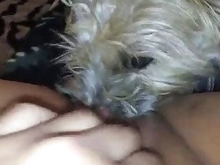 Japanese Housewife Xxx Porn